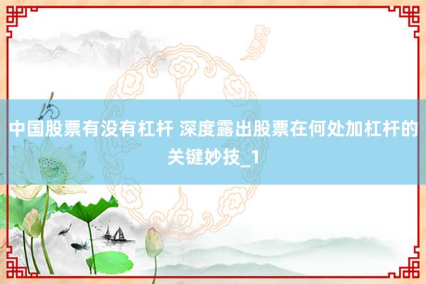 中国股票有没有杠杆 深度露出股票在何处加杠杆的关键妙技_1