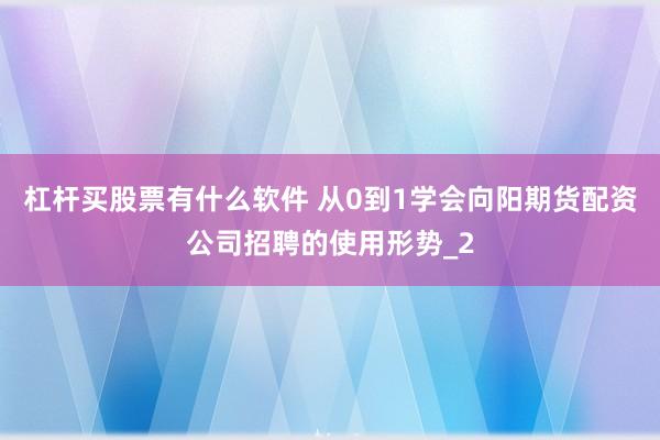 杠杆买股票有什么软件 从0到1学会向阳期货配资公司招聘的使用形势_2